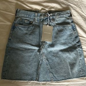 Everlane Reconstructed Denim Skirt